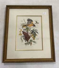 Signed Bird Lithograph