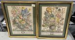 March and June Botanical Framed Prints