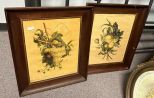 Two Vintage Framed Botanical Prints