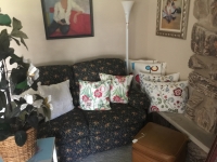 Couch and Decorative Pillows 